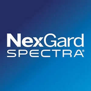 NexGard Spectra flea tick worm treatment for dogs available at Pets Everywhere Adelaide