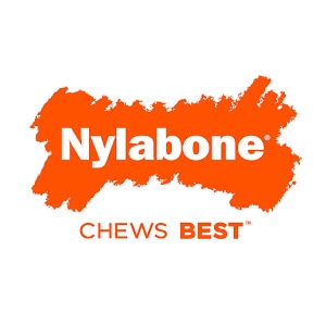 Nylabone dog chew toys durable dental chews for dogs available at Pets Everywhere Adelaide