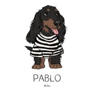 Pablo and Co dog accessories logo stylish collars leads and harnesses available at Pets Everywhere Adelaide