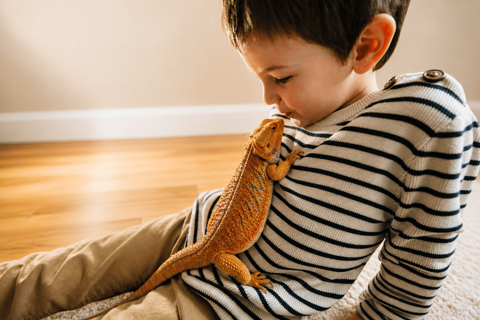 Young boy holding a pet bearded dragon while relaxing at home in Adelaide