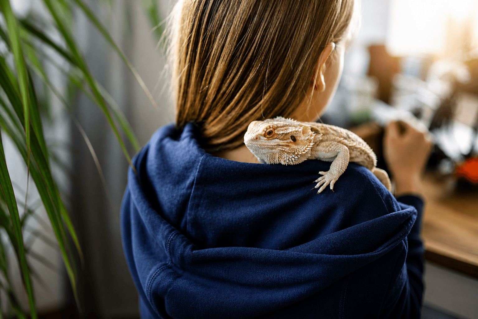 Young girl with a bearded dragon resting on her shoulder at home